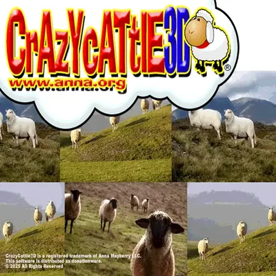 CrazyCattle3D Online | 55GMS